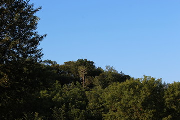 Obraz premium Camping on the Zumbra River, Minnesota