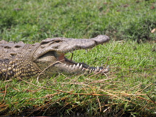 Botswana