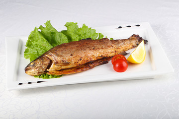 Grilled trout