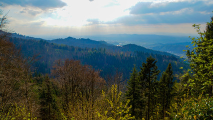 Fototapeta na wymiar View down into the valley of Freiburg im Breisgau in the Black Forest from Kandel Mountain at springtime