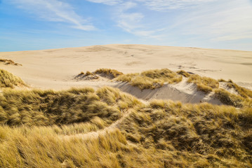 Desert walk. Two men walking on sand dunes.