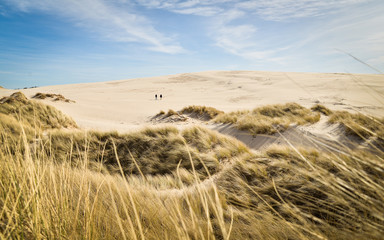 Desert walk. Two men walking on sand dunes.