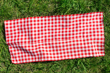 The checkered tablecloth on the grass