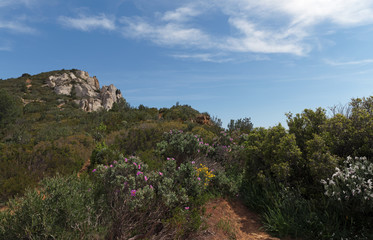 Fototapeta na wymiar parc national des calanques