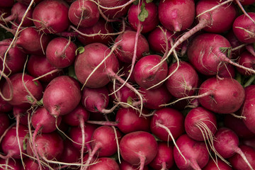 Many radishes background