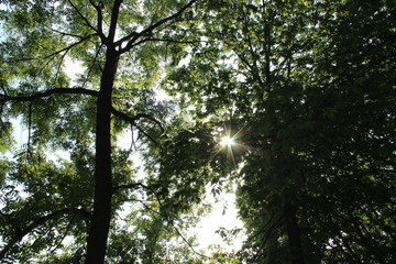 Camping near the Zumbro River, Minnesota
