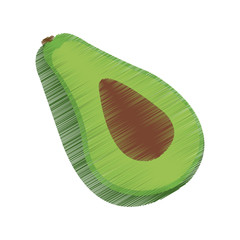 avocado vegetable icon image vector illustration design  sketch style