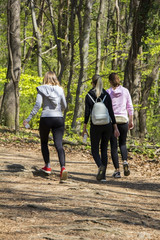 Three young girls walking in spring forest