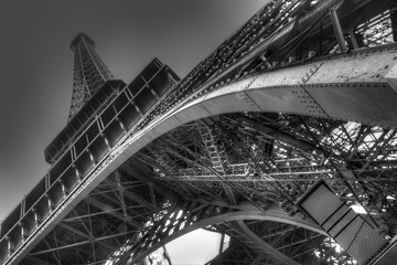 Fototapeta na wymiar Eiffel Tower in Black and White