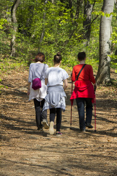 Three young girls walking in spring forest