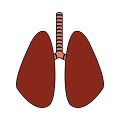 set of human lungs icon image vector illustration design 