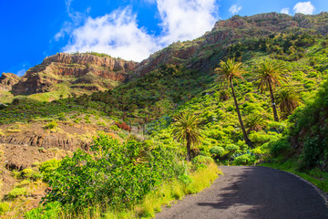 Valley mountains palm trees white clouds blue sky, near Alojera village, La Gomera, Canary Islands