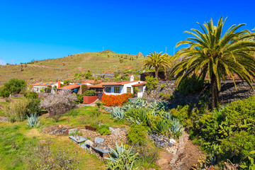 Colorful houses of Targa village in tropical mountain landscape of La Gomera island, Spain
