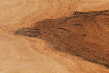 Background of old wood, texture old wood