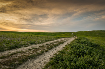 Val d'orcia siena toscana italia