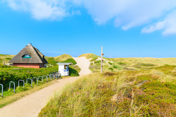 Fototapeta na wymiar Path to Kampen beach among sand dunes on Sylt island, Germany