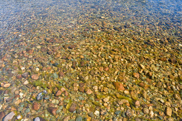 The background of the river bottom.