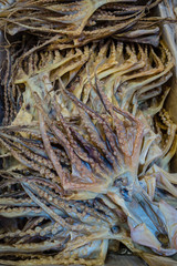 Impressionen Fischmarkt Hongkong