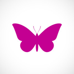 Obraz na płótnie Canvas Butterfly vector icon