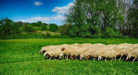 Parco della Caffarella