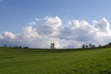 Fototapeta na wymiar Meadow with trees on a horizon. Slovakia