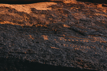 Petroglyphs along Mouse's Tank Trail in Valley Of Fire State Park