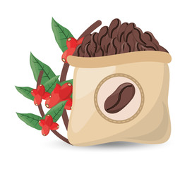 coffee roasted sac tree design vector illustration eps 10