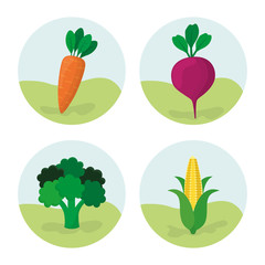 vegetables fresh food nutrition vector illustration eps 10