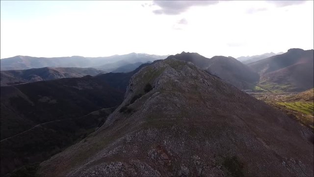 Collada1
