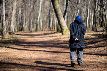 Man walks in the Woods on a sunny day