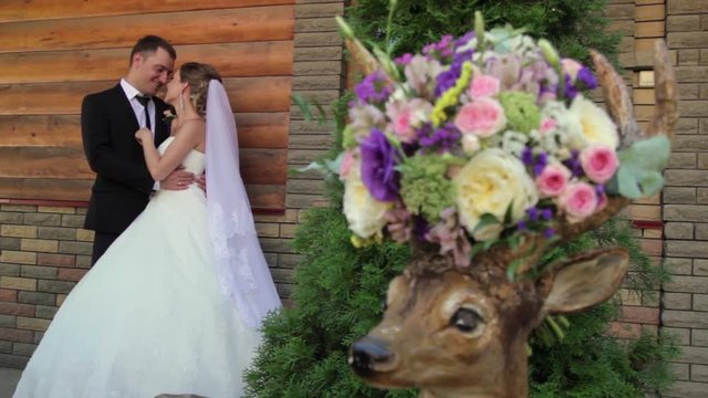 Bride and groom kiss and hug. A bouquet of flowers on the head of a deer.