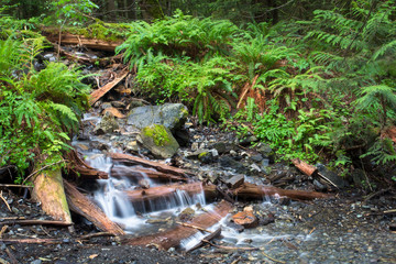 Waterfall in British Columbia  in Canada 