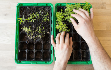 Gardening