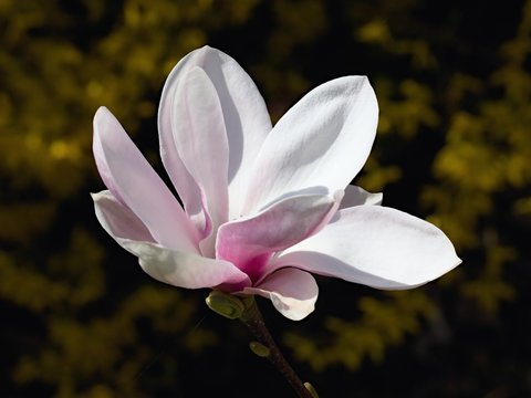 spring is here