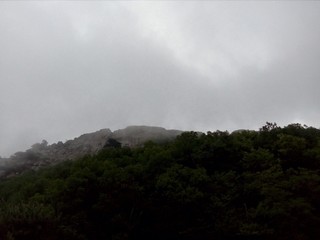 лес, горы, облака