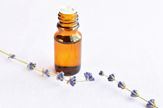 lavender flower oil