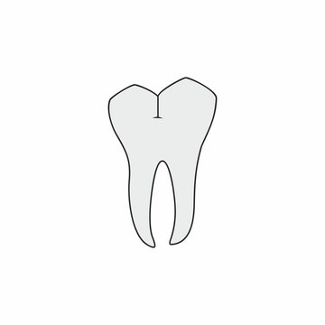 Molar tooth vector design isolated on white background