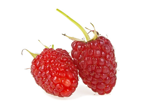 Ripe raspberries isolated on white background, close up