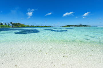 Beautiful tropical island and clear water.Copy space