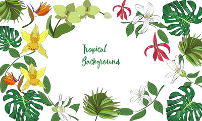 Exotic collection of hand drawn tropic leaves and flowers. Tropical background.