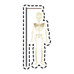 human skeleton icon image vector illustration design 