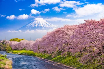 Tableaux ronds sur aluminium brossé Printemps Mt. Fuji au printemps au Japon.