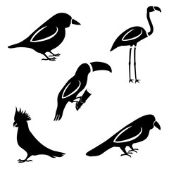 A set of five birds. Silhouettes of a sparrow, toucan, parrot, crow and flamingo.