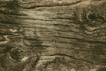 brown wood planks.