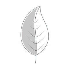 leafs plant decorative icon vector illustration design