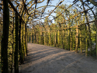 Gartendurchgang im Frühling