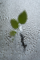 Abstract pattern with green leafs