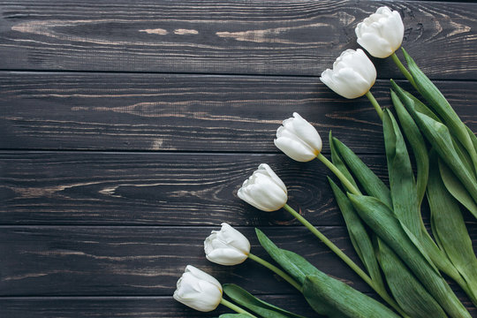 mother's day, white tulips on blue wooden  background