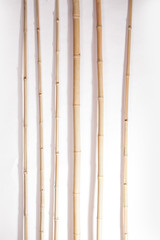 bamboo stalks on a white background
