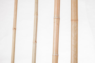 bamboo stalks on a white background